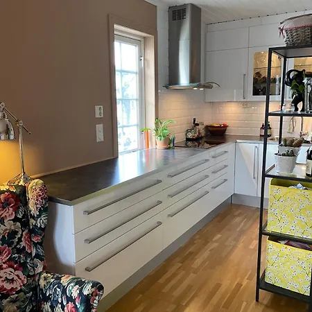 Apartment Spacious With Loft Livingroom And Workspace Halden